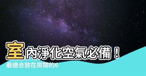 什麼植物可以放房間|房間必備！8 種能淨化空氣的植物，讓你居家更健康